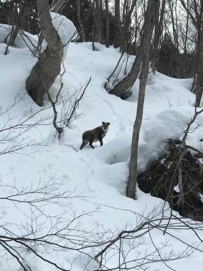 Hakuba Lodge Omusubi Otari Kültér fotó